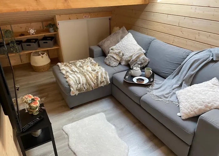 Le Flocon 88 - Vue Exceptionnelle * La Bresse