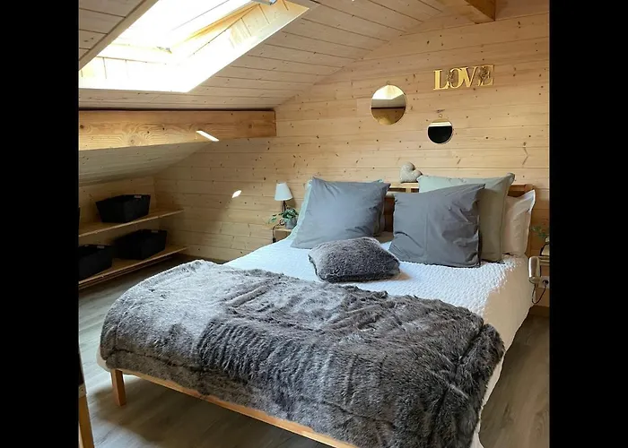 Le Flocon 88 - Vue Exceptionnelle Appartement