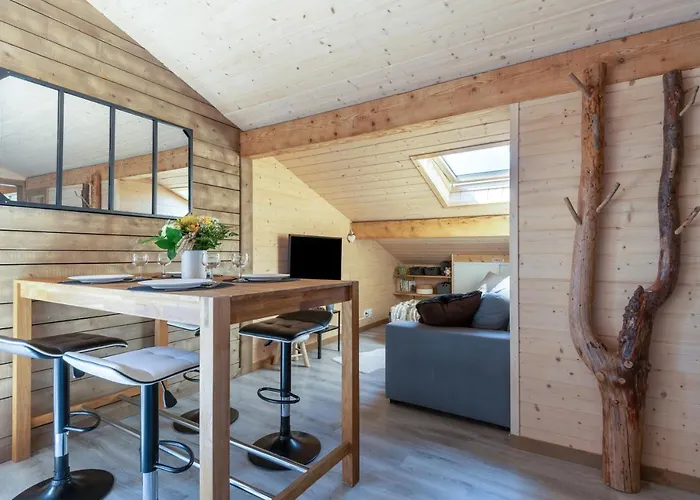 Le Flocon 88 - Vue Exceptionnelle